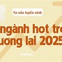 Các Ngành Hot Trong Tương Lai Ở Mỹ Là Gì